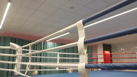Padded ropes surround ring ensuring athlete protection Stock Footage 317147095
