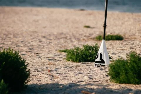 Paddle on the beach close-up, concept of rowing standing, Stock Photos