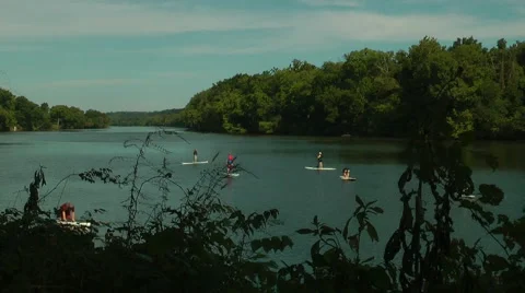 Paddle board class on the James River - time lapse Stock Footage 42391119