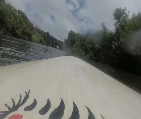 Paddle Board fun Stock Footage 97422943