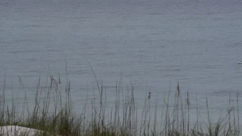Paddle boarder crosses frame Stock Footage 149055066