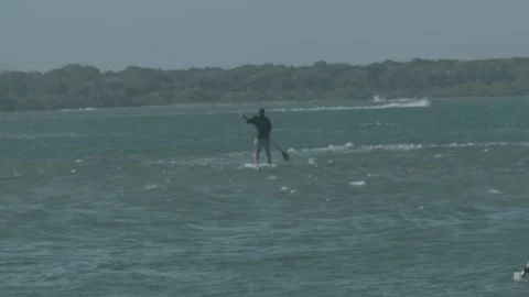 Paddle Boarder Gliding on Water in Slow Motion, Sunshine Coast, Queensland, Aust Stock Footage 341308532