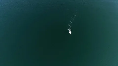 Paddle Boarder Overhead View 動画素材 94578374