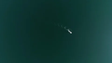 Paddle Boarder Overhead View 動画素材 94579137