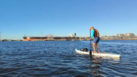 A paddle boarder sails on a sup board in the port of St. Petersburg. Stock Photos