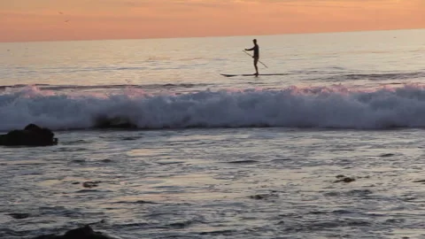 Paddle Boarder Silhouette In Waves At Sunset Golden Hour Stock Footage Video stock 258509718