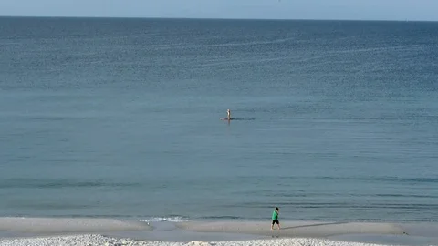 Paddle Boarding with Dolphins - Florida Emerald Beach Coastline Stock Footage 111519849