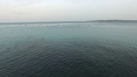 Paddle Boarding Drone Video of Isla Contadora Resort Island Panama Stock Footage 128997861