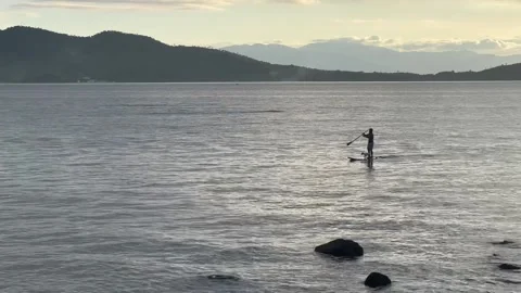 Paddle Boarding During Sunset Video stock 220812569