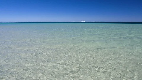 Paddle boarding in Monkey Mia Stock Footage 89541334