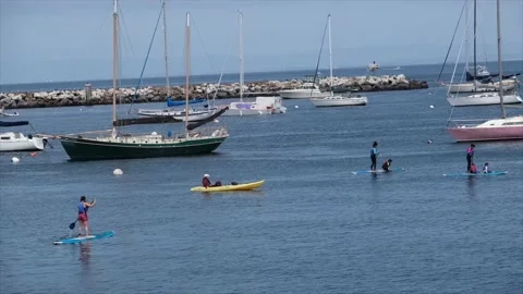 Paddle Boarding Monterey Stock Footage 151808601