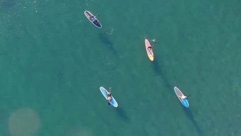 Paddle Boarding in the Ocean Stock Footage 84229080
