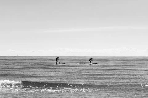 Paddle boarding silhouettes Stock Photos