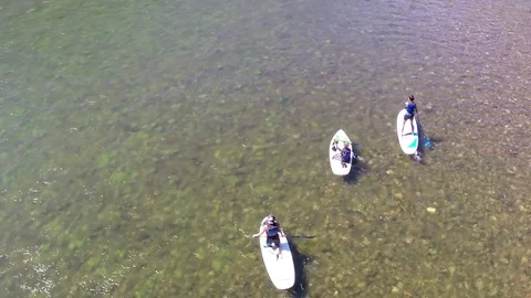 Paddle boards 1 by dwking Stock-Footage 81409278
