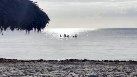 Paddle boards in the ocean Stock Footage 238419804