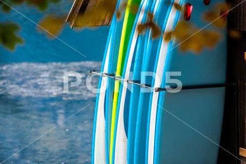Paddle Boards Rental Business. Water Sports Equipment. Stock Photos