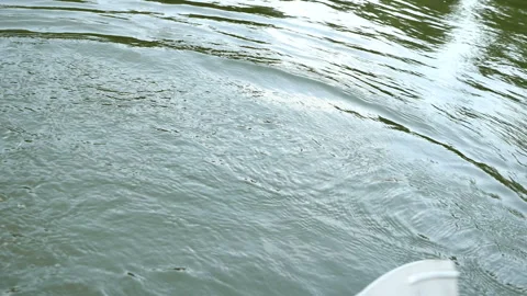 Paddle a boat, Rowing On Quiet lake - Slow Motion 3 Video stock 297607422