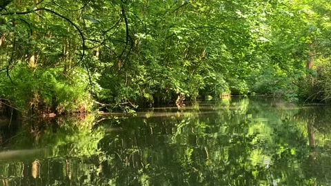 Paddle boat trip on a river branch through the floodplain forest in Germany Stock Footage 319804498