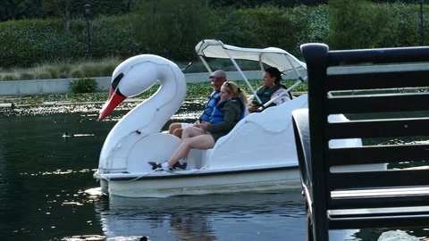Paddle Boats Stock Footage 123947474