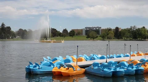 Paddle Boats in the Park Stock Footage 50542439