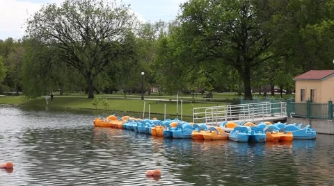 Paddle Boats in the Park Stock Footage 50542450