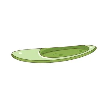 Paddle Illustrazione stock