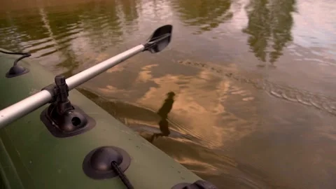 The paddle is lowered into the water during an inflatable boat ride on the lake Video stock 131966899