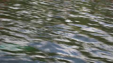 Paddle in motion 10 Video stock 25006681