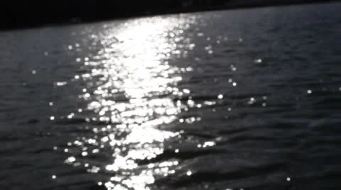 Paddle in motion 7 Stock Footage 25006716