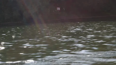 Paddle in motion 9 Stock Footage 25006703