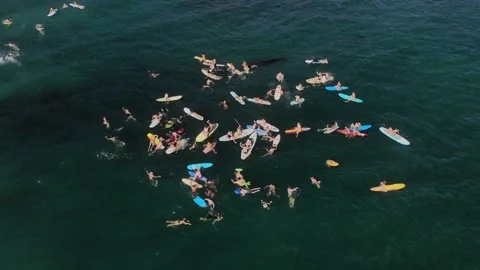 Paddle Out Stock Footage 171686905