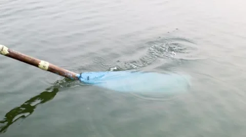 Paddle plunges in water Stock Footage 64128275