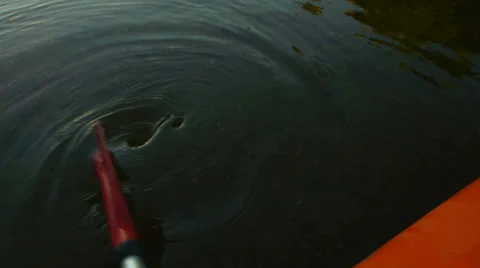 Paddle in River Video stock 29291511