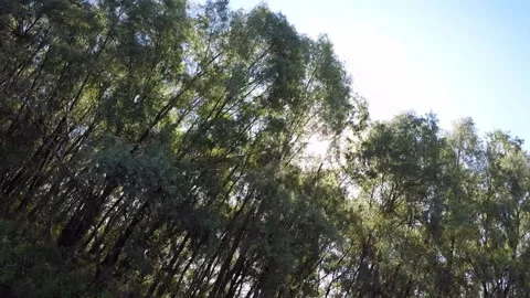 Paddle, river, kayaking Video stock 109064813