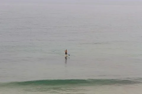 Paddle Surf 스톡 사진