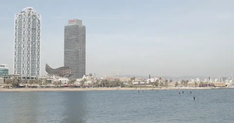 Paddle surfing on the beach. 스톡 동영상 142018623