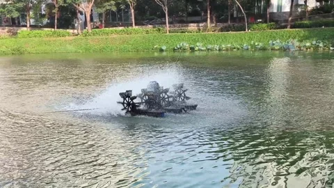 Paddle wheel aerators are commonly used in fish farming to increase dissolv.. 스톡 동영상 338380000