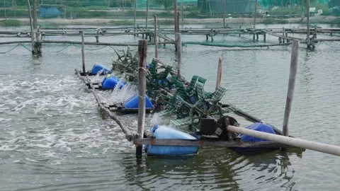 Paddle wheel device on pond water creating strong water circulation and visible Stock Footage 324802341
