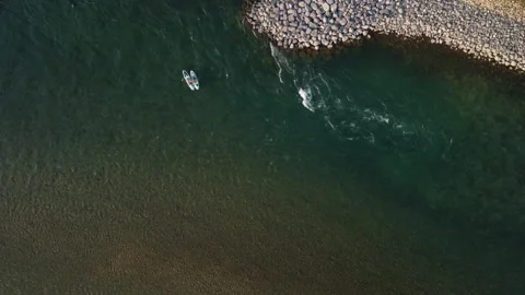 Paddleboard down a river in top down sunny aerial Stock Footage 345161781