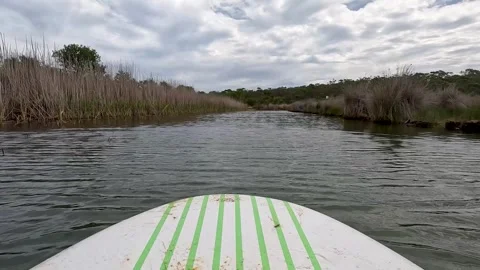 A paddleboard floating on the calm waters of the Anglesea River Australia Stock Footage 297227441