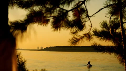 Paddleboarder on Calm Lake at Sunset Framed by Pine Trees. Stock Footage 345292327