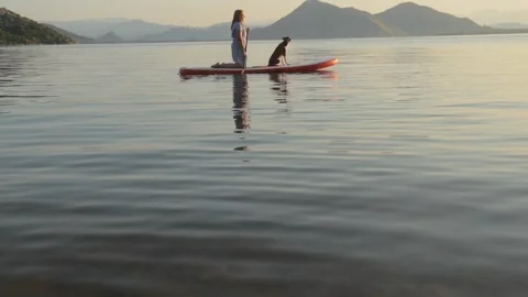 Paddleboarder with dog Stock Footage 312724246
