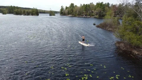 Paddleboarder Video stock 233724097