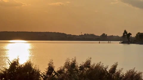 Paddleboarders Crossing Sunset Reflections Beside Bird Habitat at Lacul Morii Stock Footage 346380121