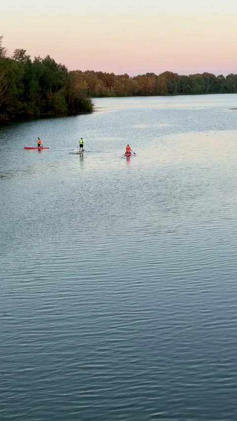  Paddleboarders at Dawn on the River Stock Footage 312760621