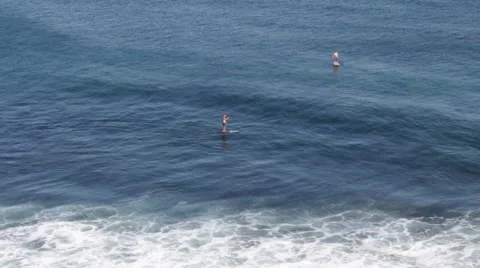 Paddleboarders 動画素材 41459885