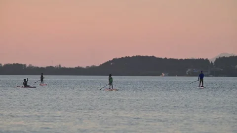 Paddleboarders on Lake at Pink Sunset Stock-Footage 345041704