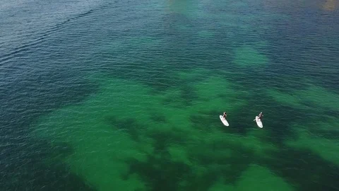Paddleboarders at the ocean Stock Footage 80846389