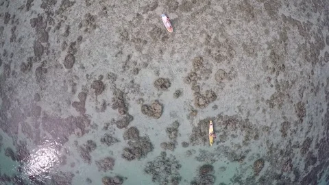 Paddleboarders In Shallow Ocean 2 Stock Footage 79735455