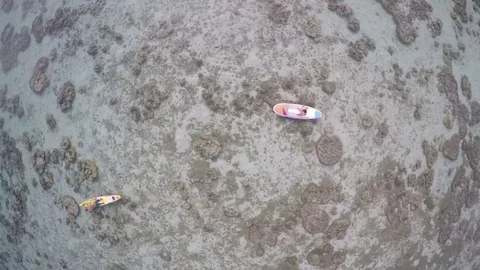 Paddleboarders In Shallow Ocean Stock Footage 79735444